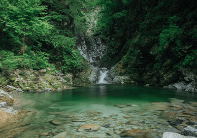 深星 | SHINSEI - SAKE HUNDRED